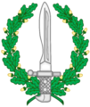 Emblema operaciones especiales.png